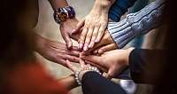 team 4529717